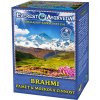 Čaj Everest Ajurveda Himalájský čaj BRAHMI paměť mozek 100 g