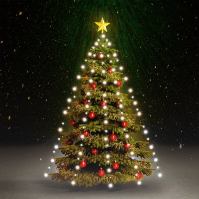 vidaXL vánoční stromek světelná síť s 210 LED diodami studená bílá 210 cm – Zbozi.Blesk.cz