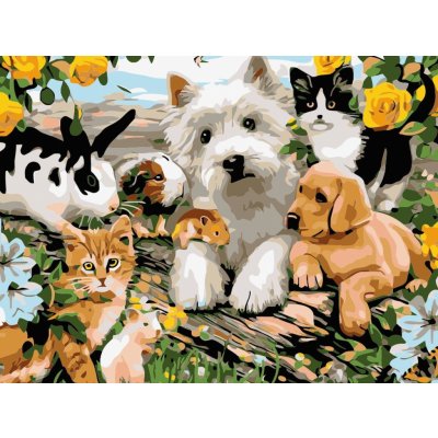 Titanum Malování podle čísel na plátno DOMÁCÍ ZVÍŘATA 30 x 40 cm – Sleviste.cz