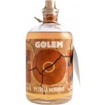Golem Vyzrálá Meruňka 37,5% 1 l (holá láhev) – Zboží Dáma