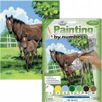 Creatoys Malování Koně – Zboží Dáma