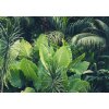Postershop Fototapeta vliesová Zelená džungle, rozměry 254x368 cm