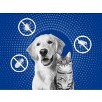 Frontline Spray kožní sprej roztok 2,5mg / ml 250 ml – Zboží Dáma