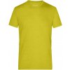 Pánské Tričko James Nicholson pánské triko JN974 yellow melange