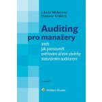 Auditing pro manažery – Hledejceny.cz