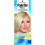 Pallete Intensive Color Creme C10 Ledový stříbřitě plavý barva na vlasy – Sleviste.cz