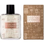 Pan Drwal Steam Punk voda po holení 100 ml – Zboží Dáma