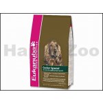 Eukanuba Cocker Spaniel 2,5 kg – Hledejceny.cz