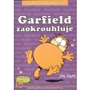 Garfield zaokrouhluje - 15. kniha sebraných Garifeldových stripů - J. Davis