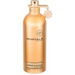 Montale Amber & Spices parfémovaná voda unisex 100 ml – Hledejceny.cz