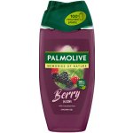 Palmolive Memories of Nature Berry Picking sprchový gel 250 ml – Hledejceny.cz