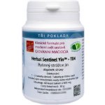 Givanni Maciocia T04 Bylinný strážce Jin Herbal Sentinel Yin 60 tablet – Hledejceny.cz