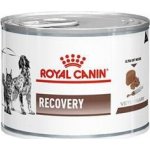 Royal Canin VD Fel / Can Recovery 195 g – Hledejceny.cz