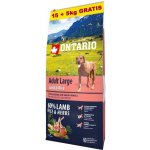 Ontario Adult Large Lamb & Rice 20 kg – Sleviste.cz