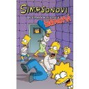 Komiks a manga Simpsonovi Komiksové šílenství