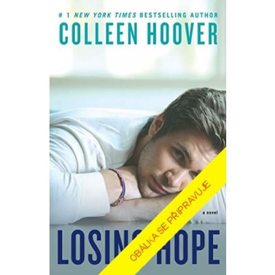 Ztracená naděje - Hooverová Colleen