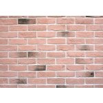 Wild Stone Holland Brick 301 fasádní lazio cihlová 21 x 6 cm 1m² – Hledejceny.cz