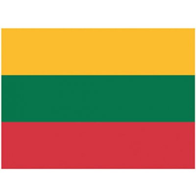 Printwear Vlajka Litva Flaglt Lithuania 90 x 150 cm – Hledejceny.cz
