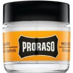 Proraso Moustache Wax vosk na vousy Wood & Spice 15 ml – Zboží Dáma