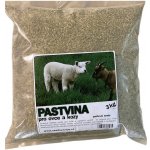 SEED SERVICE Travní směs Pastvina pro ovce a kozy 3 kg – Hledejceny.cz