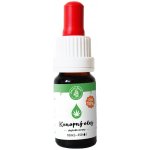 Zelená Země CBD konopný olej 10% 10 ml – Zbozi.Blesk.cz