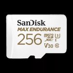 SanDisk microSDHC 256 GB SDSQQVR-256G-GN6IA – Zboží Živě