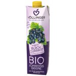 Hollinger Bio džus černý rybíz 1 l – Zbozi.Blesk.cz