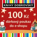 Vánoční e-shopová dárková poukázka 100 Kč – Zbozi.Blesk.cz