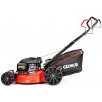 Hahn & Sohn Cedrus CEDKS53S-H – Zboží Dáma