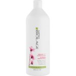 Matrix Biolage Colorlast Conditioner 1000 ml – Zbozi.Blesk.cz