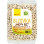 Wolfberry Slzovka obecná 250 g – Hledejceny.cz