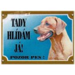 Dafiko Tabulka Rhodéský ridgeback – Zbozi.Blesk.cz