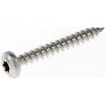 vrut univerzální 6*90mm NEREZ A2 půlkulatá hlava, celozávit TORX 25 – Hledejceny.cz