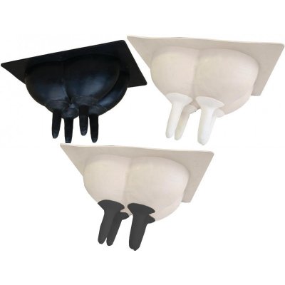 Vemeno umělé trenažér ručního dojení – Hledejceny.cz