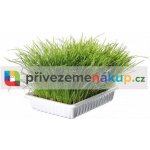 Tatrapet tráva 130 g – Zbozi.Blesk.cz