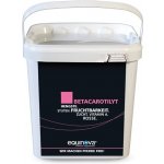 Equinova Betacarotilyt prášek 2 kg – Hledejceny.cz