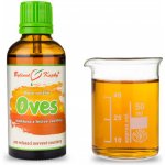 Bylinné kapky Oves mléčné obilky Duše rostlin tinktura 50 ml – Hledejceny.cz