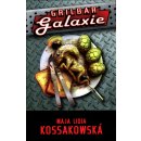 Grilbar Galaxie - Kossakowska Maja Lidia