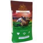 Energys Kuře Mini drcené 10 kg – Zboží Dáma