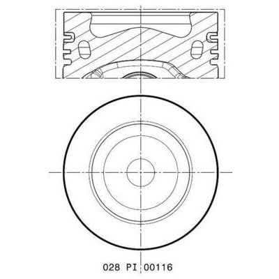 Mahle 028 PI 00116 002 | Zboží Auto