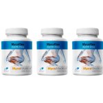 Mycomedica MycoFlex 3 x 90 kapslí – Hledejceny.cz