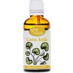 Serafin Gotukola tinktura z pupenů 50 ml – Hledejceny.cz