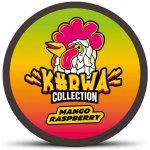 Kurwa collection mango raspberry 12 mg 20 sáčků – Zboží Dáma