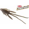 Návnada a nástraha Berkley Powerbait Nymph 1" Toad 12 ks