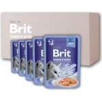 Brit Premium Cat Delicate Fillets in Jelly with Salmon 24 x 85 g – Sleviste.cz