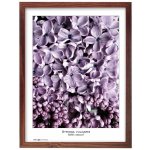 TRADAG Natura 40 x 50 hnědý – Zboží Živě