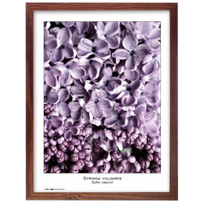 TRADAG Natura 40 x 50 hnědý – Zboží Živě