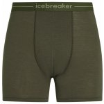 Icebreaker Mens Anatomica Long Boxers Loden – Zboží Dáma