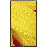 NEC MultiSync ME431 – Zboží Živě