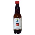 Salvia Paradise Kombucha násada 300 ml – Hledejceny.cz